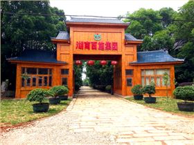 湖南优发国际集团