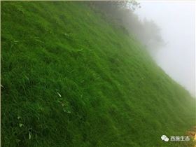 大熊山风电场 施工后7