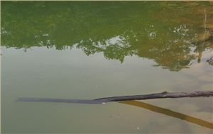 惠州市杨村镇矛塘水库