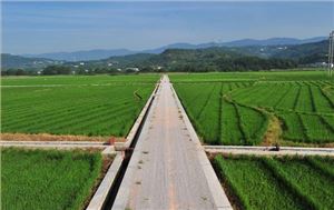 湖南省郴州市桂阳县千亩农田镉污染修复项目
