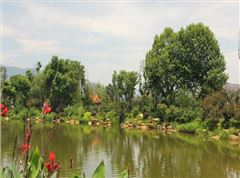 郴州市北湖公园提质刷新工程 (省优工程)