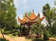 郴州市北湖公园提质刷新工程 (省优工程)