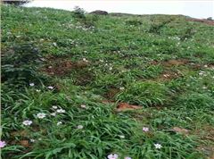 常宁市大义山省级自然；で笊礁绰坦こ