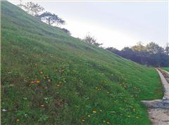 常德市鼎城区石板滩镇石煤矿区伍房石煤矿（防治I区）生态情形修复工程