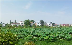 20200803140633_4715.jpg_300X189 南县沱江农业面源污染治理项目