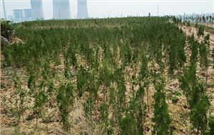 鹤壁市淇滨区南太行地区山水林田湖草生态；；；ば薷垂こ