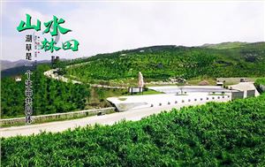 湖南省娄底市冷水江锑煤矿区山水林田湖草生态；；；ば薷聪钅