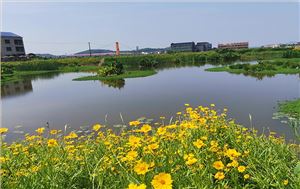20220422095700_6908.jpg_300X189 衡阳县蒸水流域山水林田湖草生态掩护修复工程试点项目