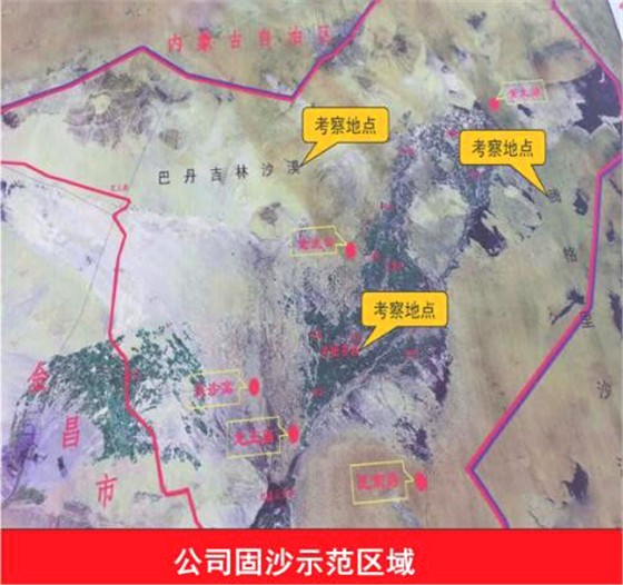 公司固沙树模区域