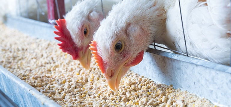 大奖国际·18dj18(中国)官方网站