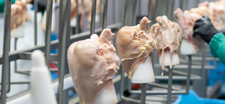 大奖国际·18dj18(中国)官方网站