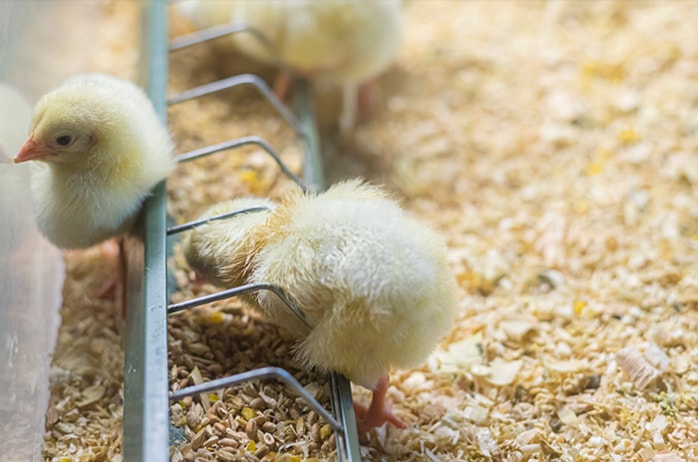 大奖国际·18dj18(中国)官方网站