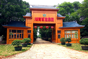 湖南优发国际集团