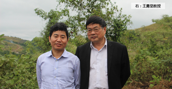 副教授级研究员、、高级工程师