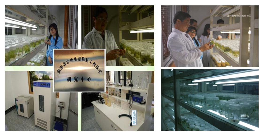 湖南省矿山生态修复手艺研究中心