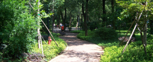 郴州市北湖公园提质二期刷新工程