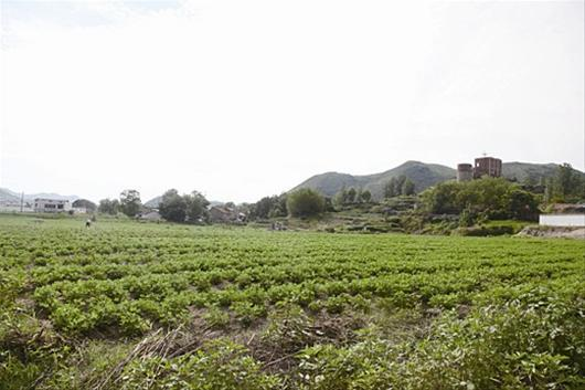 中央财务重金属污染防治重点区域树模资金项目——2号尾矿库生态恢复工程项目