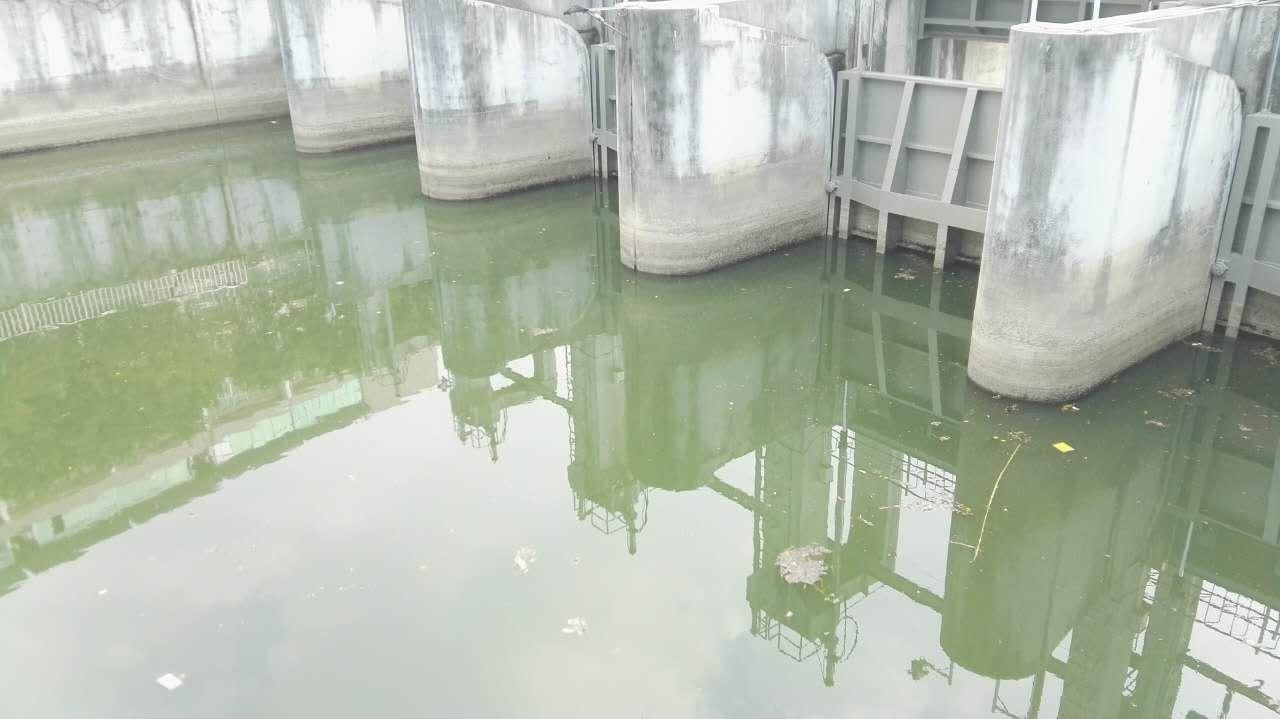 深圳市新洲河出？？？诤恿魃薷次鬯