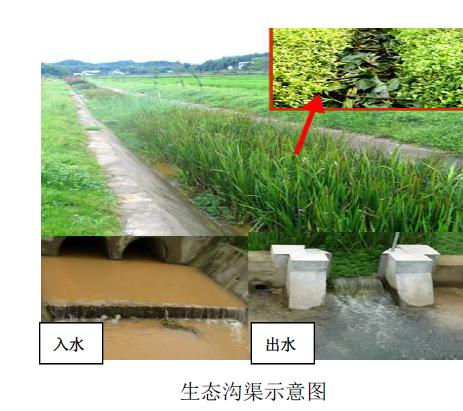 屈原治理区平江河流域农业面源污染防治工程