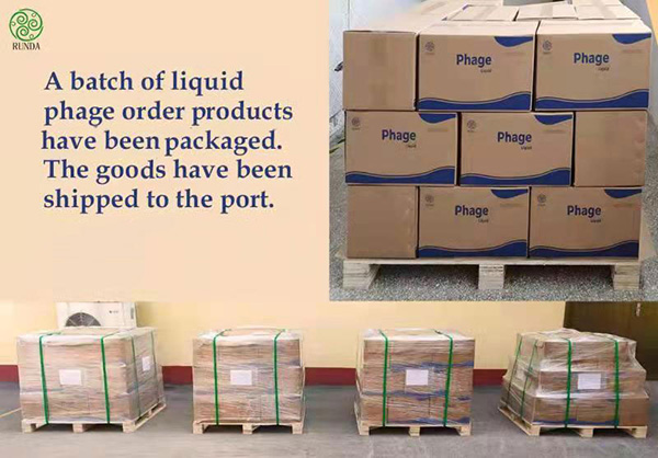  大奖国际生物噬菌体“外洋首单”：孟加拉，我们来了！
