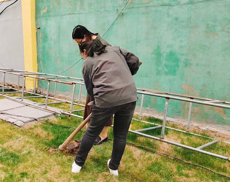  播种希望·拥抱春天||大奖国际生物起劲开展植树节活动