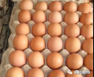 2019上半年，蛋价“涨跌不易、名堂难变”