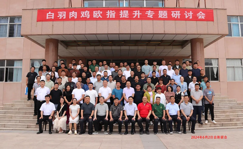 博采众长话欧指·同创共享增效益||大奖国际生物白羽肉鸡欧指提升专题钻研会（潍坊专。┰猜倏
